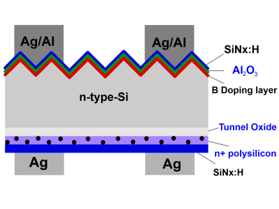 PERC-plate